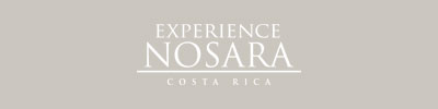 Experience Nosara