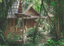 Eco Cottage