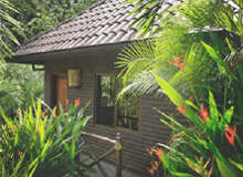 Nature Suites